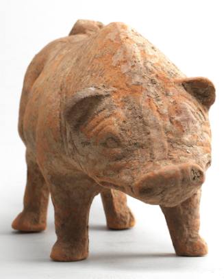 Pig