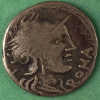 denarius, Roman Republic, 116-115 BCE