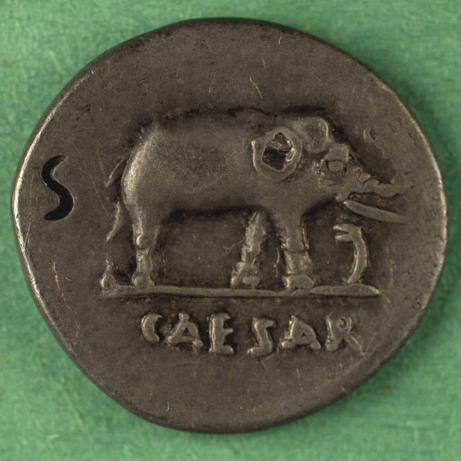 denarius, Roman Republic, 49-48 BCE