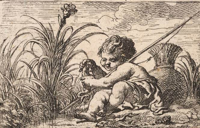 Cornelius Schut