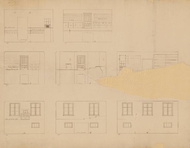 Fragments of elevation of laboratories, Main Building (three fragments on one backing)