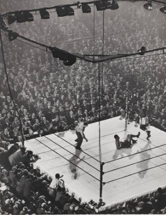 Louis Walcott Fight, Madison Square Garden