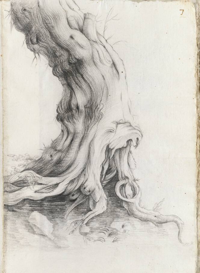Album Studies of Gnarled Trees: #7 of 13 Bound Sheets