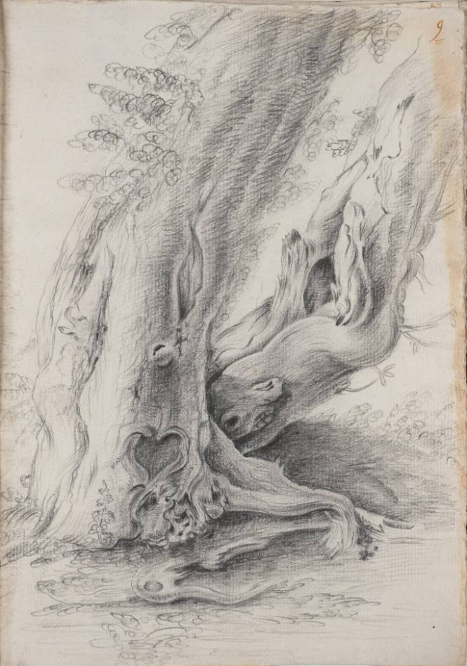 Album Studies of Gnarled Trees: #9 of 13 Bound Sheets