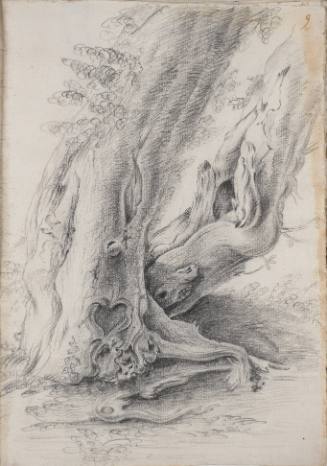 Album Studies of Gnarled Trees: #9 of 13 Bound Sheets