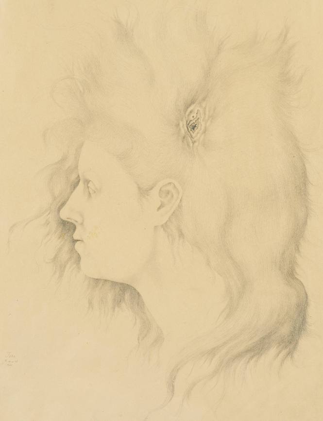 John Wilde