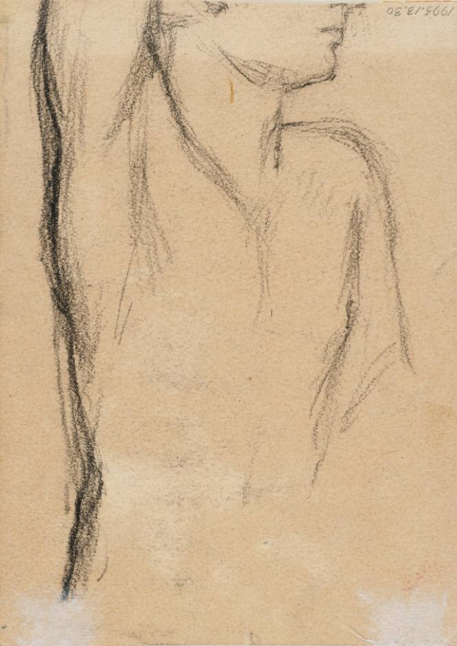 Torso of a woman