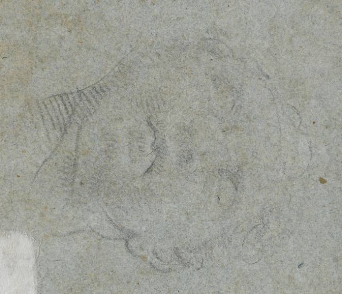 Head of a Boy