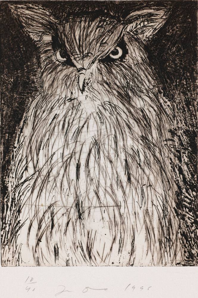 Nine Studies for Winter Dream (Owl)