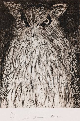 Nine Studies for Winter Dream (Owl)