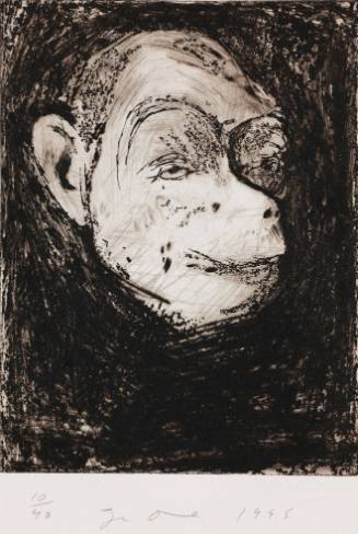 Nine Studies for Winter Dream (Monkey)