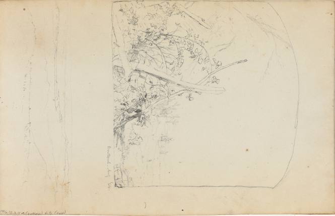 Untitled (lightly sketched landscape)