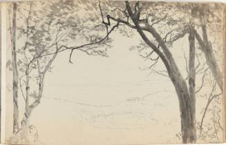 Kaatskill Mtns
