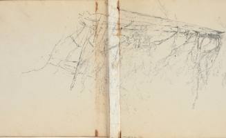 Untitled (pine tree)
