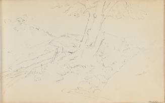 Untitled (tree trunk and logs)