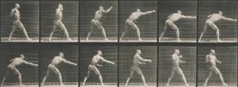 American Fighters: A Century of Boxing in Art