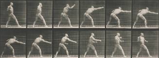 Plate 344 [Striking a blow (right hand)]