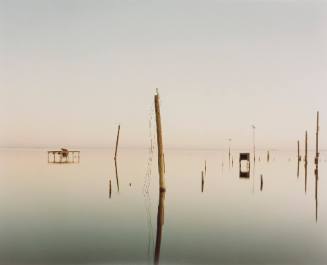 T.V. Antenna, Salton Sea, California, from 'Desert Cantos III: The Flood' series