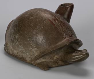Turtle Vessel
