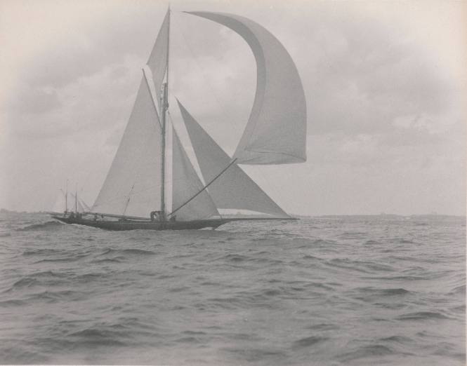 Minerva off Newport , setting spinnaker