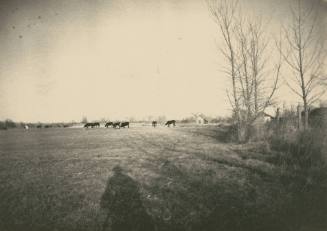 Meadow towards Bob’s house