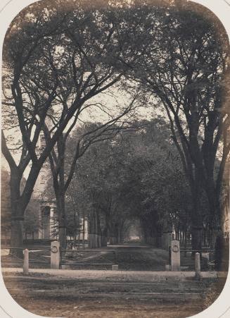 Yale University , New Haven, CT  (Tree-lined path)