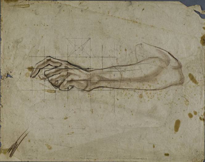 Untitled (Study of forearm and hand)