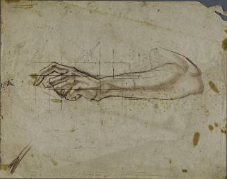 Untitled (Study of forearm and hand)