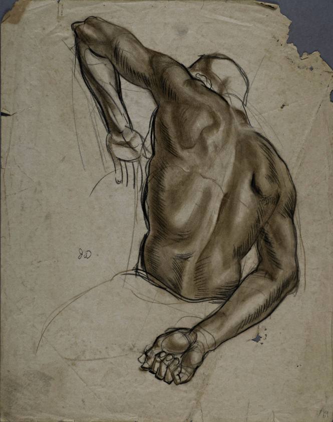 Untitled (Muscular back of man with right arm behind him)