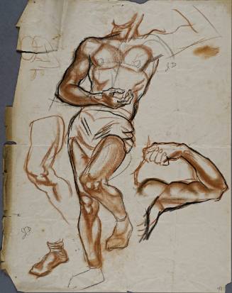 Untitled (Frontal view of muscular man. Studies of left arm, left leg, and foot)