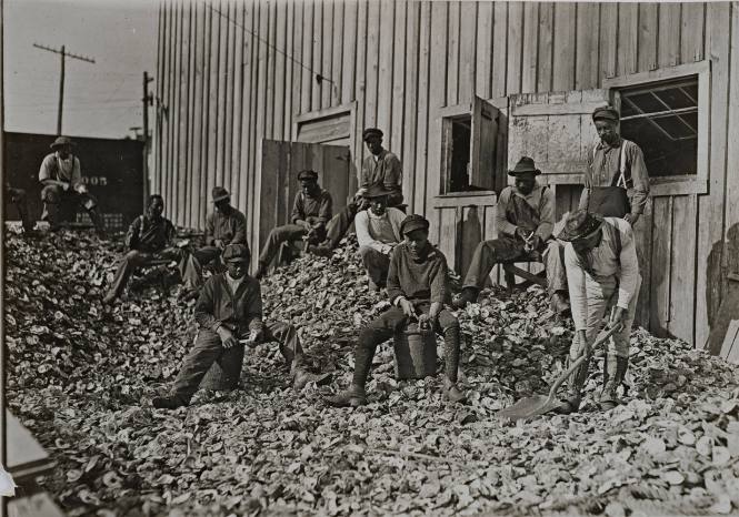 Untitled (Oyster shuckers)