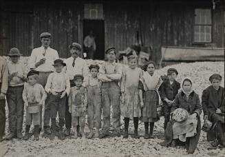 Untitled (Child oyster shuckers)