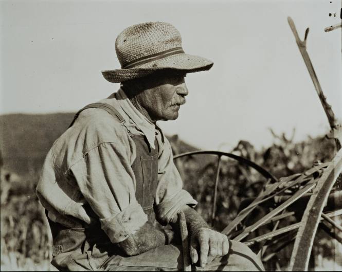Untitled (Farmer with straw hat, seated)