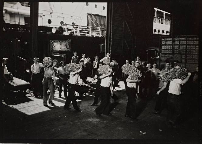 Stevedores Unloading Bananas