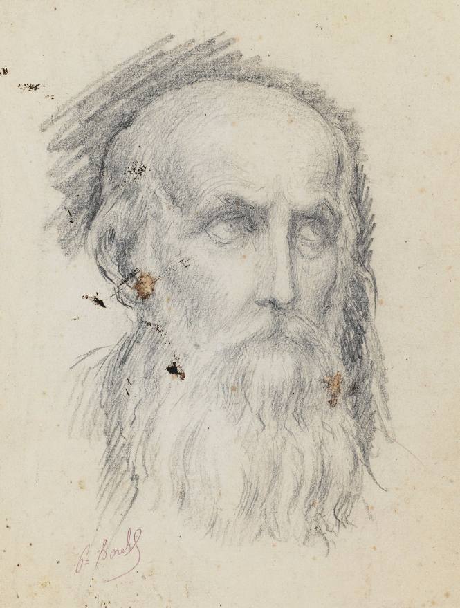 Head of a bearded man