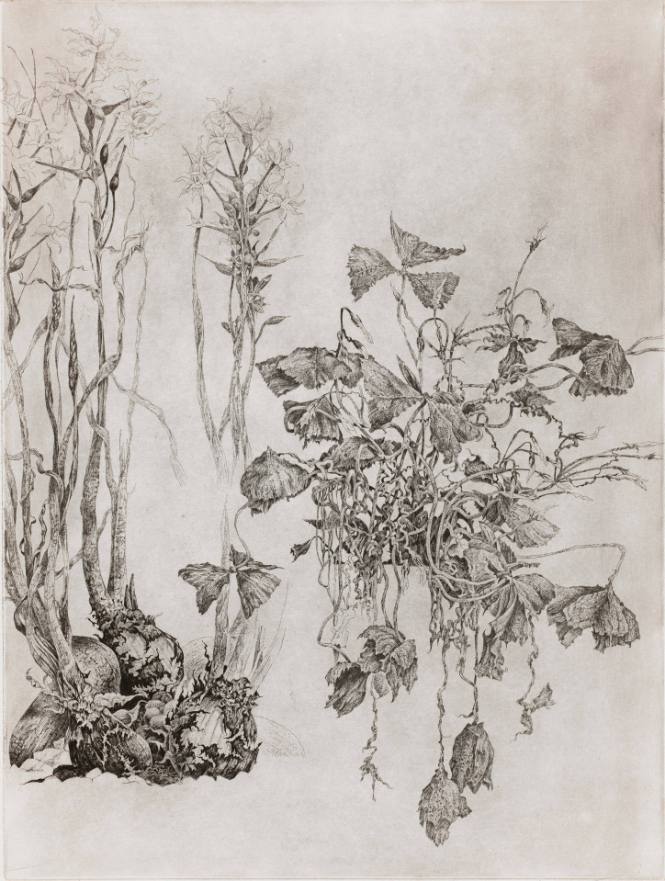 Alternate Landscape