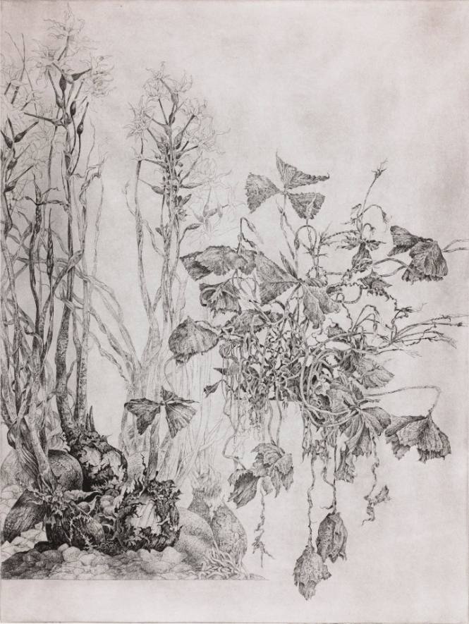 Alternate Landscape