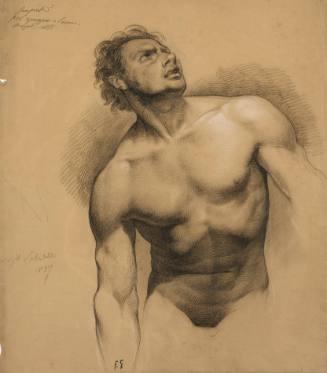 Male Academic Nude