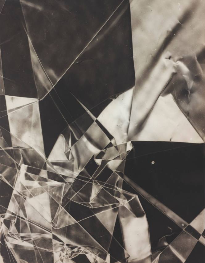 Untitled (Photogram)