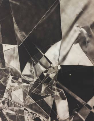 Untitled (Photogram)
