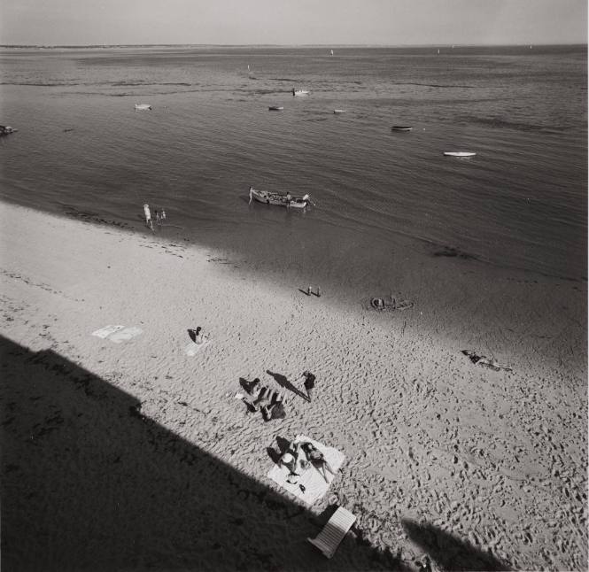 Cape Cod