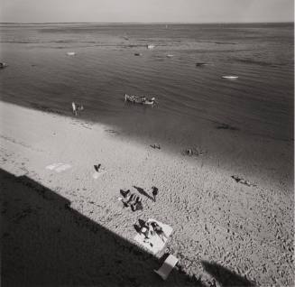 Cape Cod