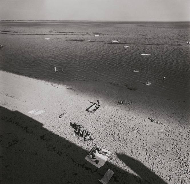 Cape Cod