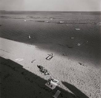 Cape Cod