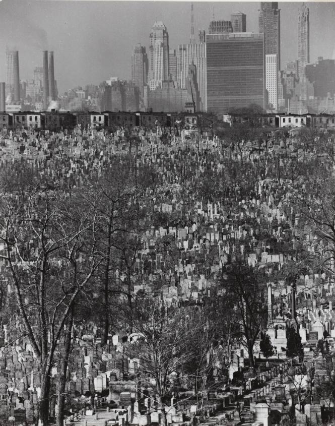 Jewish Cemetery in Queens, New York