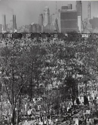 Jewish Cemetery in Queens, New York
