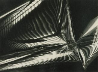 Fluid Light Design