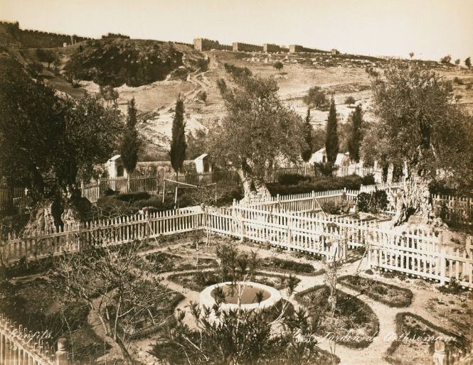 Garden of Gethsemane [Ten Views of the Holy land and Nubia]