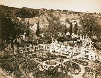 Garden of Gethsemane [Ten Views of the Holy land and Nubia]