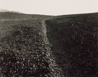Lake Manly, Death Valley: An Ancient Footpath on a Pleistocene Gravel Bench